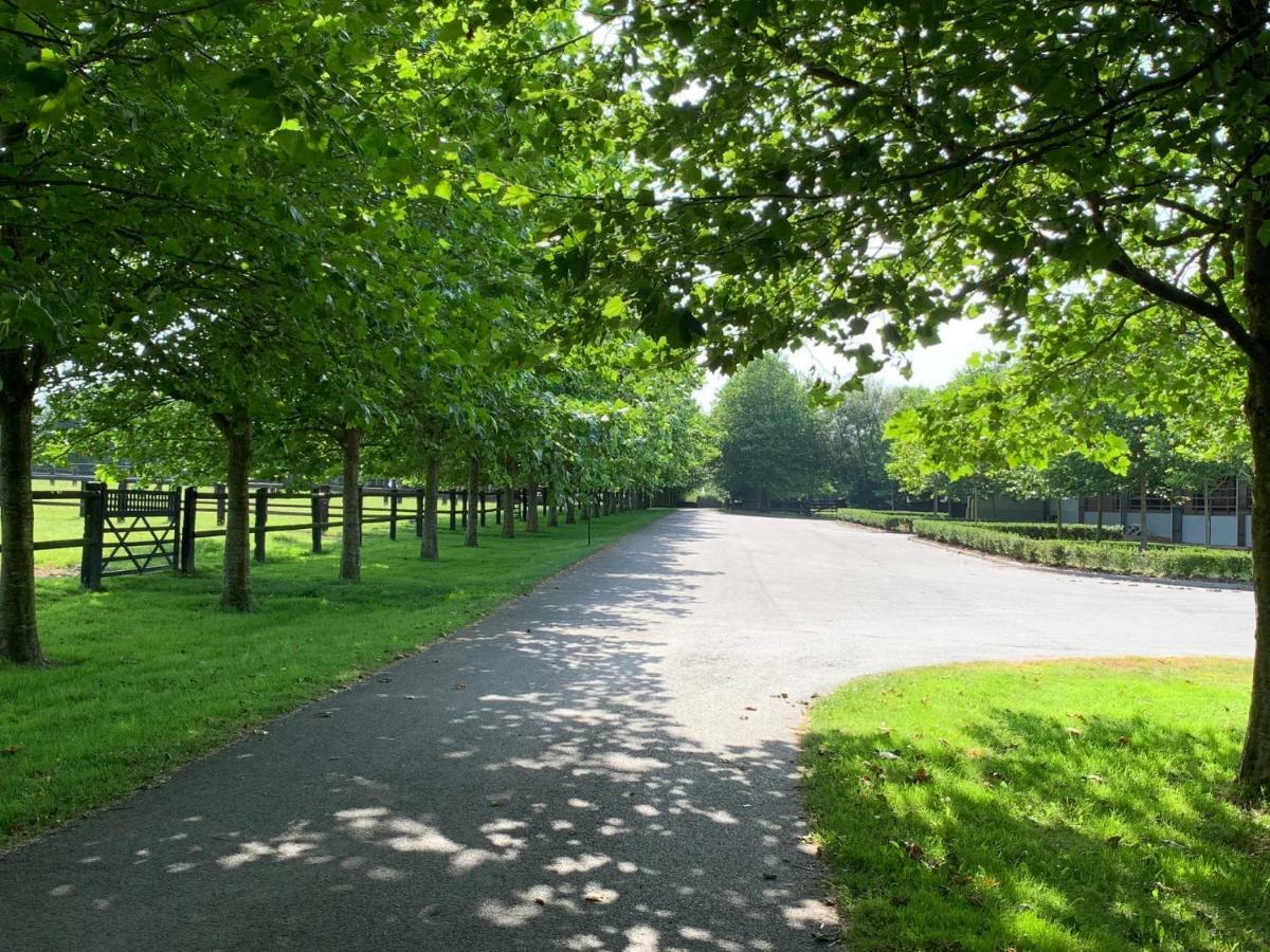 Haras Du Ry Holiday home *